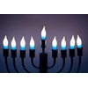 The Dreidel Company Menorah Bulbs, 10 Blue and White Electric