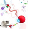Speedy Tail 2.0 Cat Toy – 2 Replaceable Tails, Controllable