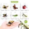 Bug Toys Figurines VOLNAU 12PCS Insect Animal Figures for Kids