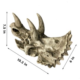 kathson Large Resin Dinosaur Triceratops Skull Décor Aquarium Decoration Reptiles Hideout Fish Tank Ornament Home Landscape Decor