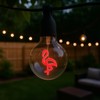 Festive Living LED Flamingo Decorative Filament Light Bulb, G80 Globe,