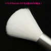 [Made in Japan] Slide Cheek Brush (SS-03SI)