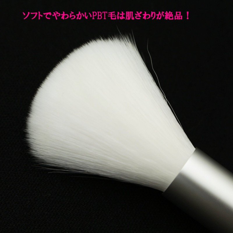 [Made in Japan] Slide Cheek Brush (SS-03SI)