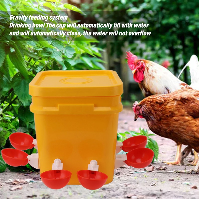 Automatic Chicken Waterer Cup with 12L Handheld Barrel Poultry Drinking