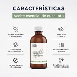 HEBBE - Aceite Esencial de Eucalipto 50 ml | Aceite Orgánico de Eucalipto | Aromaterapia | Difusor | Uso en Spa | Masaje | Corporal | Contenido 50 ml