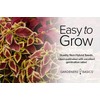 Coleus Seeds for Planting (Rainbow Mix) - Heirloom Non-GMO Shade