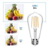 New Lights Vintage LED Edison Bulb, ST19 6W Dimmable LED