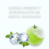 Shampoo Sin Sal Ni Sulfatos Con Ácido Salicílico | Menta
