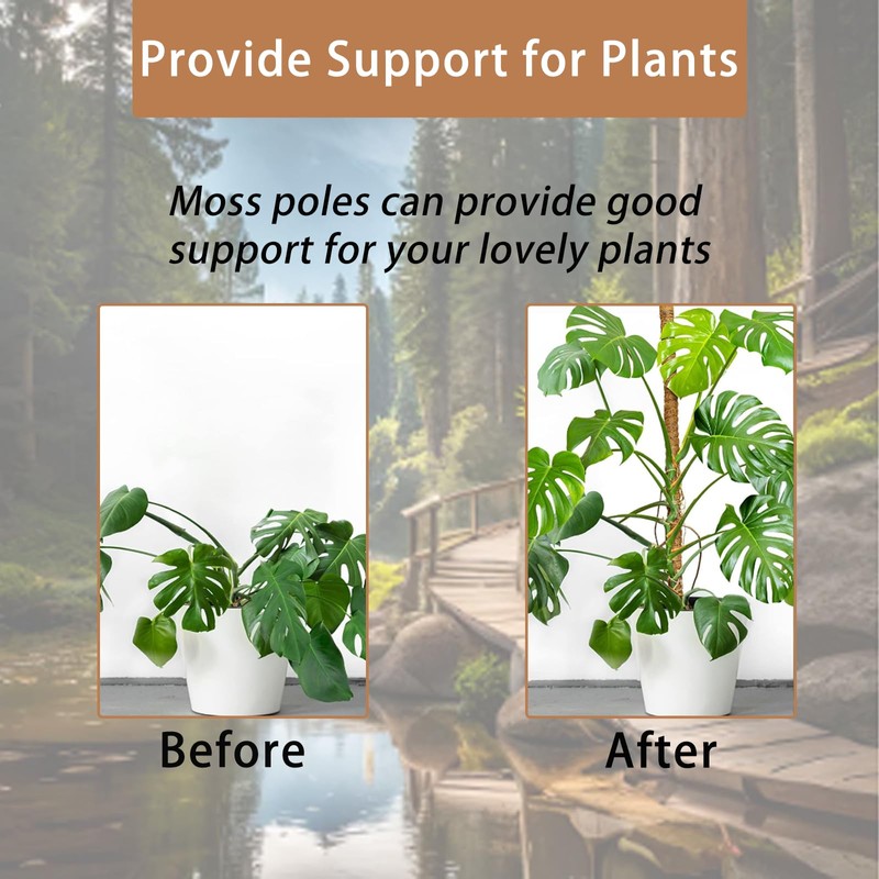 1pcs Bendable Moss Pole for Plants Monstera120mm, Handmade Coco Coir