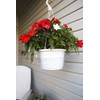 Curtis Wagner Plastics Hanging Basket Drip Pans (5-Pack) | Clear,