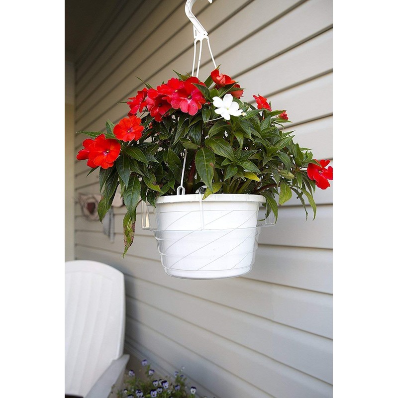 Curtis Wagner Plastics Hanging Basket Drip Pans (5-Pack) | Clear,