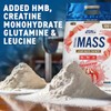 Applied Nutrition Critical Mass Professional Lean Mass Gainer