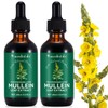 Acentiallabs 【live】Acentiallabs Mullein Leaf&Chlorophyll Extract Drops For Lung Detor Healthcare