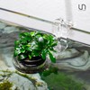 Ultum Nature Systems Hydro Pot Holder – Clear Adjustable Acrylic