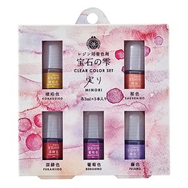 Pajico 403334 Resin Coloring Agent, Jewel Drops, Clear Color Set, Fruit, Made in Japan