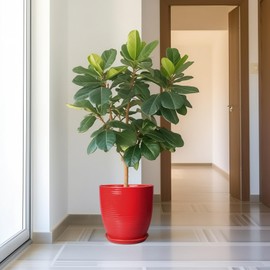 EPFamily Ceramic Pot for Plants 12 Inch - Plant Pot Indoor with Drainage Hole and Saucer Round Large Planter for Outdoor Plants Mid Century Modern Flower Pot for Home Decor Red