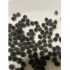 Manoa Valley Roots Mgambo Hawaiian Velvet Seeds 10 count Black