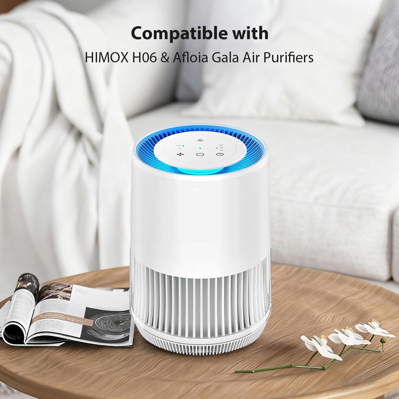 2 Pack True HEPA Replacement Filter for HIMOX H06 &