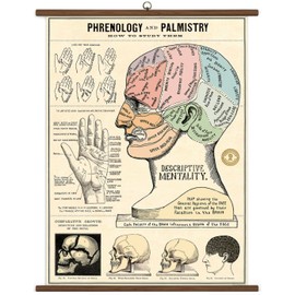 Cavallini & Co. Phrenology & Palmistry Vintage School Chart