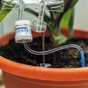 Bubblegum Stuff - Plant Life Support - Automatic Watering System