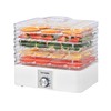 Tayama 5-Tray Stackable Clear Food Dehydrator