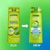 Garnier Fructis Normal Shampoo 315mL