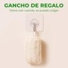 10 Piezas Estropajo para Trastes de Fibra Natural Biodegradable, Esponja