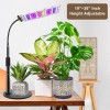 Unbranded 70 LED Grow Light Full Spectrum Desk Growth Lamp