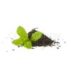 PUREGUSTO FRESH LEAF LOOSE TEA 250G - DARJEELING
