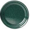 Gsi Outdoors Dish, Unisex Adult, Green, 10 "