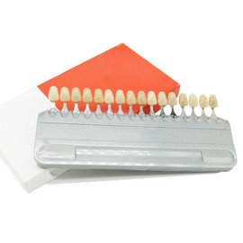 Shade Guide Porcelain Dental Dentist Materials 16 Colors Shade Guide Teeth, Dental Care and Teeth whitening (Dental-16Color) Plutusdental