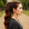 Clip in Ponytail, 2 Pack Dark Brown Ponytail Extensions, Human