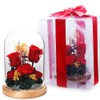 TEATSIGHT Preserved Flower Arrangement, Wrapped Glass Pot, 5 Wheels (Rose,
