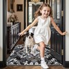 LUMI Indoor Door Mat for Entrance 24x55, Luxury Traditional Front
