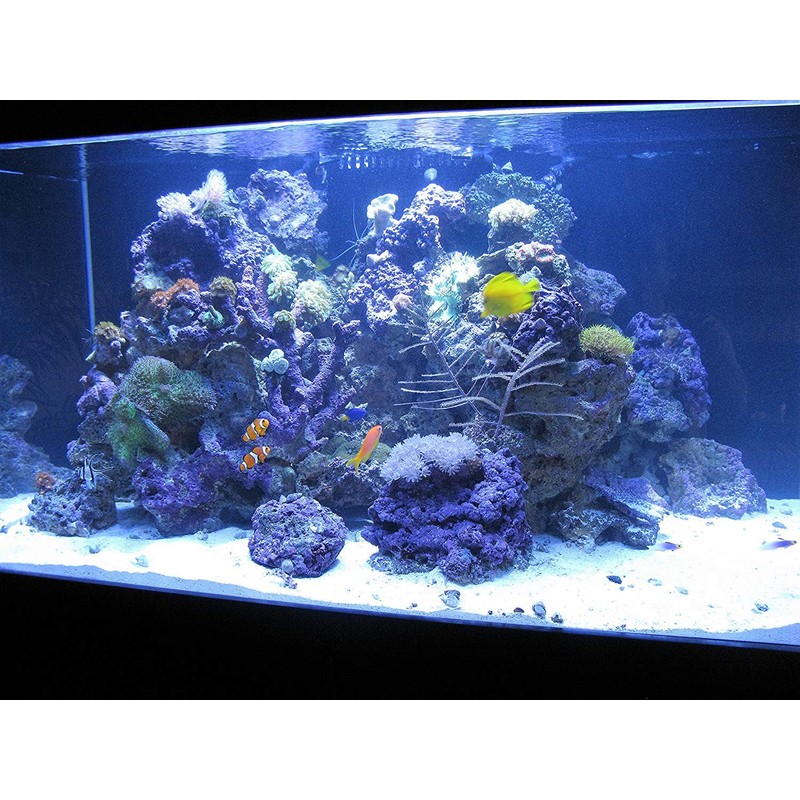 Kolar Labs Crystal Cal Activated Carbon – 5 Gallon, Activated