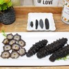 DOL Wild Caught,Sun Dried Atlantic Black Pin Sea Cucumber 30-40pcs