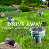 Gopher Repellent Ultrasonic Solar Powered - Mole Repellent Stakes Outdoor