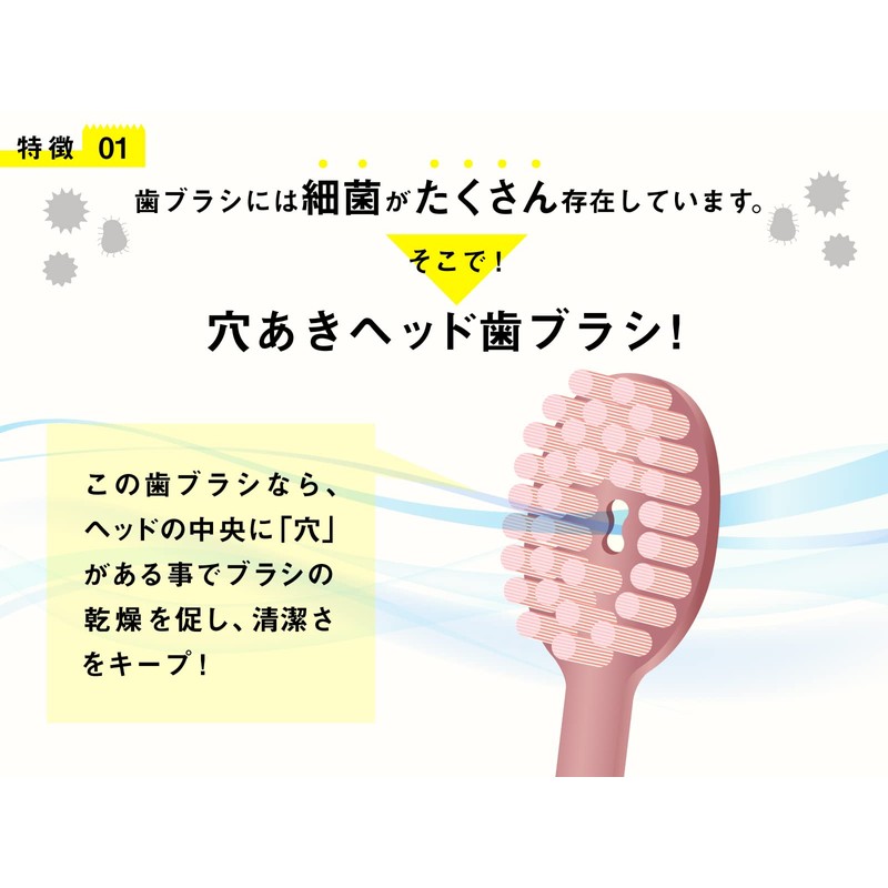 Sakabe Brush [Made in Japan] Perforation Reaches the Back Tooth