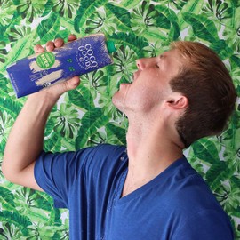 CocoGoodsCo Vietnam Single-Origin 100% Organic Coconut Water, Non-GMO, Never from Concentrate (33.8 fl. oz/1 liter, 6 pack)