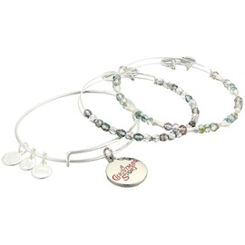 Alex and Ani Color Infusion, A Christmas Story Set of 3 Bangle Bracelet Shiny Silver One Size