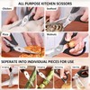 Kitchen Scissors All Purpose Kitchen Shears Come Apart,Stainless Steel Utility