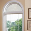 Autotech Park Precut Custom Arched Window Film, Bamboo Design, up