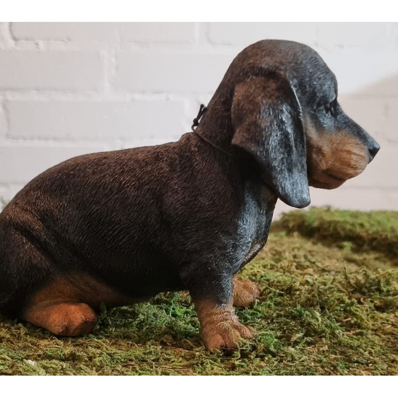 Vivid Arts - Pet Pals Black/Brown Dachshund Puppy Home or