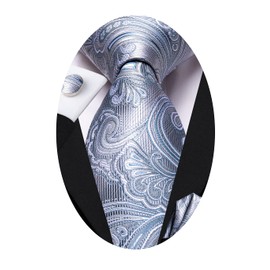 Hi-Tie Ties for Men Paisley Mens Tie Set Wedding Formal Business Striped Tie Sets,Blue Grey Paisley