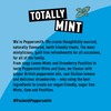 Peppersmith Extra-Strong Eucalyptus 100% Xylitol-Sweetened Multipack Mints, Sugar-Free and Good