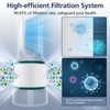2-Pack HP01 HP02 True HEPA Filter Compatible with Dyson Pure