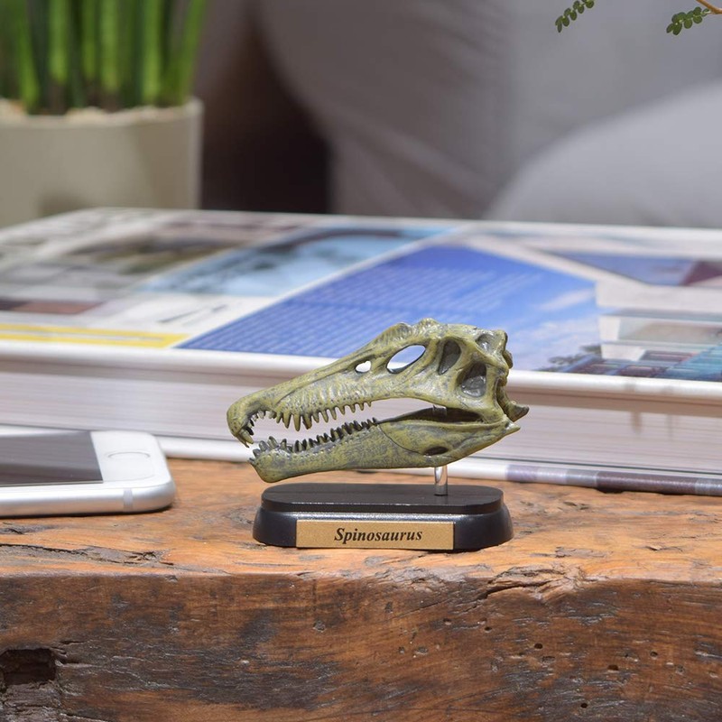 Dinosaur Spinosaurus Skull Mini Model (FDW-503)
