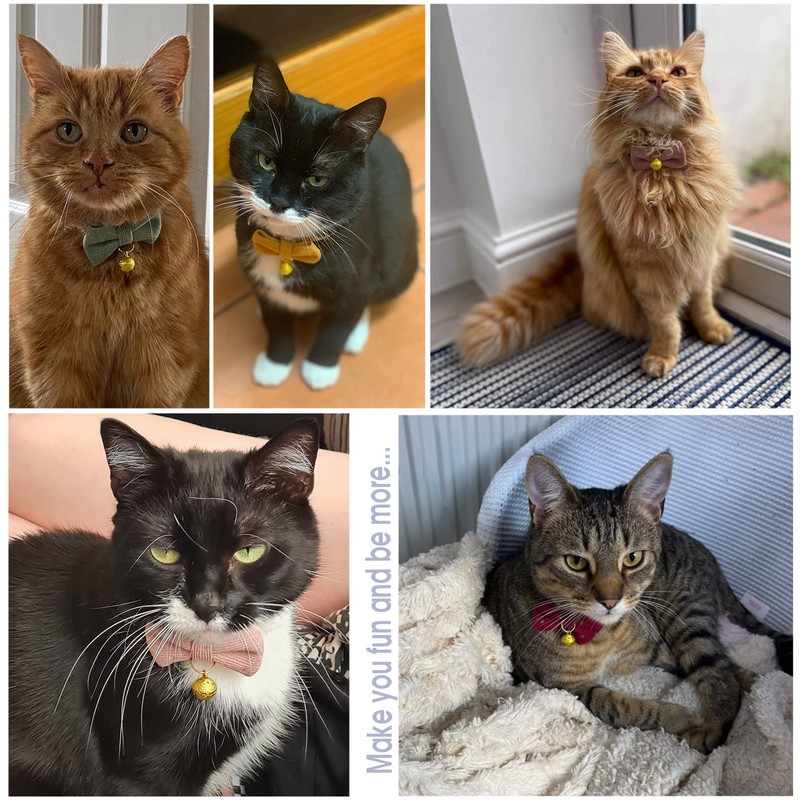 Cognatio Safety Quick Release Cat Collars, Soft Kitten Collars with