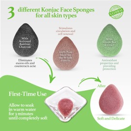 KONJAC GOCCIA SPONGES (Green/Black/Red Drop, Konjac)