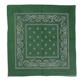Glory Max 12Pcs Bandanas 100% Cotton Double Sided Paisley Print Head Wrap Scarf Wristband Headband (Olive Green)